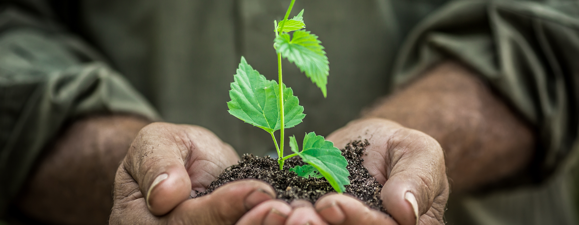 Sustainable Products